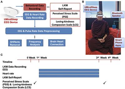 Loving-kindness meditation (LKM) modulates brain-heart connection: An EEG case study